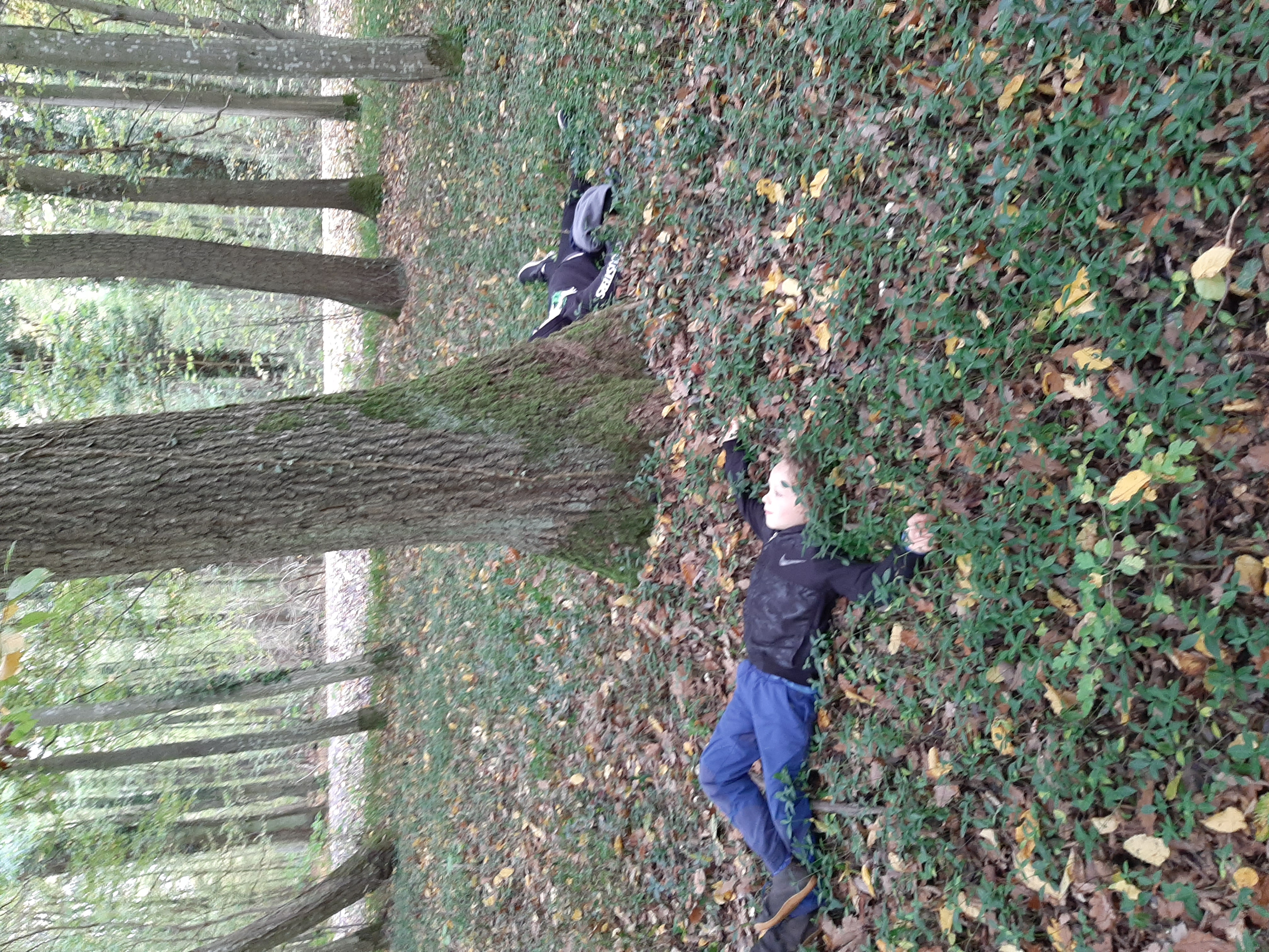 Kind liegt auf dem Waldboden